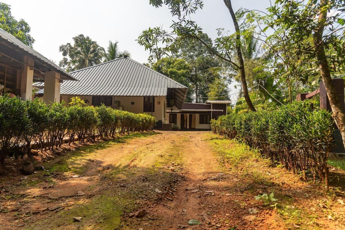 Traditional House - Agri Farm Stay Thodupuzha Exterior foto